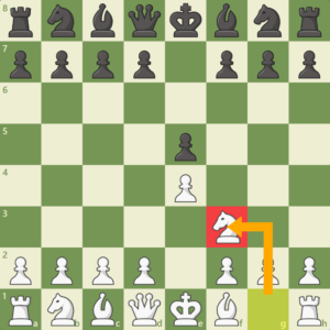 Шахматные правила предписывают четкие маневры для каждого вида фигур. 